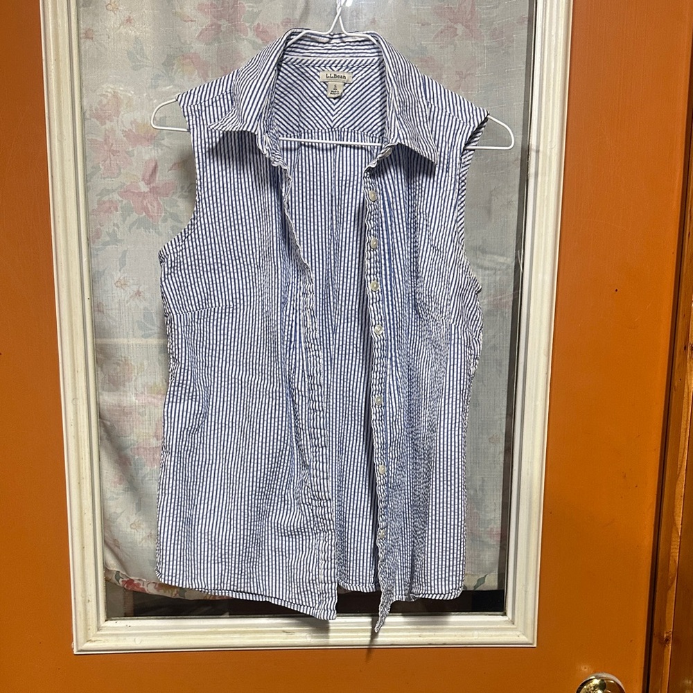 L.L. Bean Blue and White Striped Sleeveless Shirt